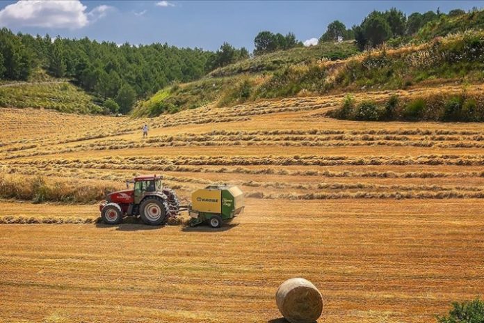 ab-tarim-2 AB Sürdürülebilir Tarım Politikaları