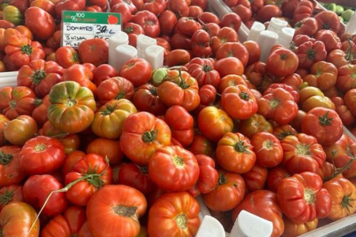 Kayseri Kocasinan 0 Ekolojik Pazar
