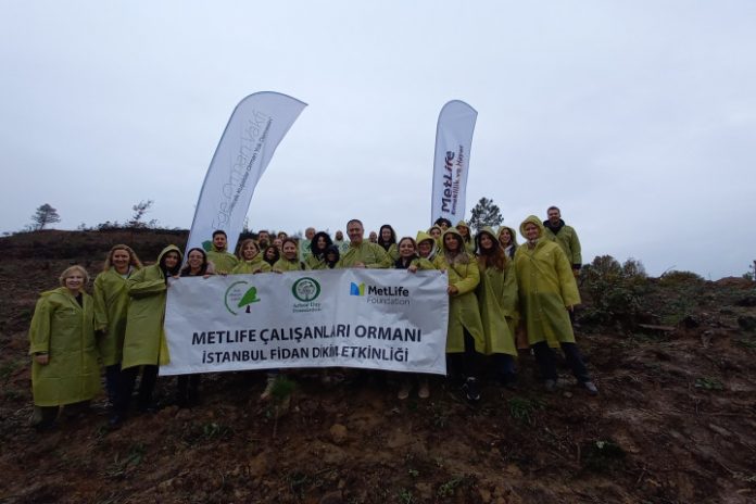 Metlife-C-alis-anlari-Ormani-2 Metlife Çalışanları Ormanı