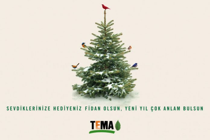 TEMA-Vakfi-Fidan-2