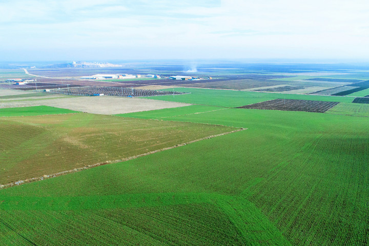 TEMA Vakfı 2023’ün Çevre Olaylarını İnceledi