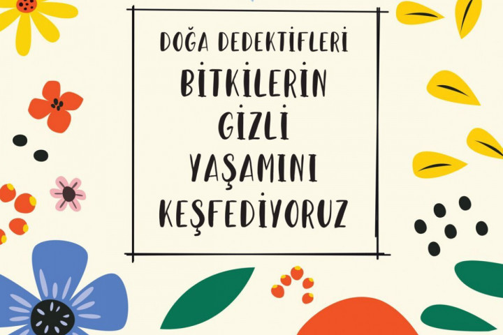 Bitkilerin Gizli Dünyasına Eğlenceli Bir Yolculuk
