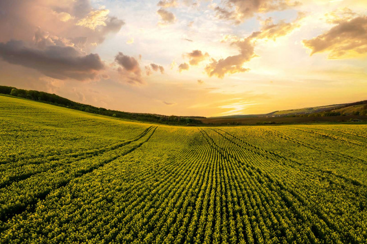 Workup Agri’nin 3. Dönemi Başlıyor