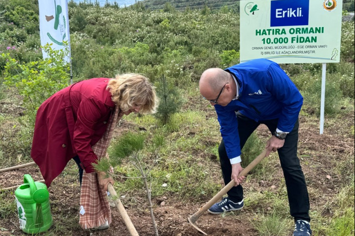 Erikli 10 Bin Fidana Hayat Veriyor