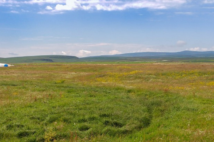 Ardahan ve Kars’ın Suları, Meraları Maden Tehdidi Altında
