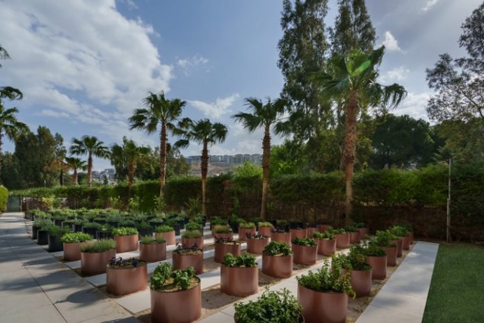 Liberty Hospitality Group Karbon Salınımı