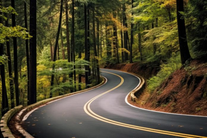 curved-forest-road-free-photo-2 Sürdürülebilirlik Programı