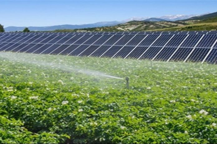 tarım ve güneş enerjisi