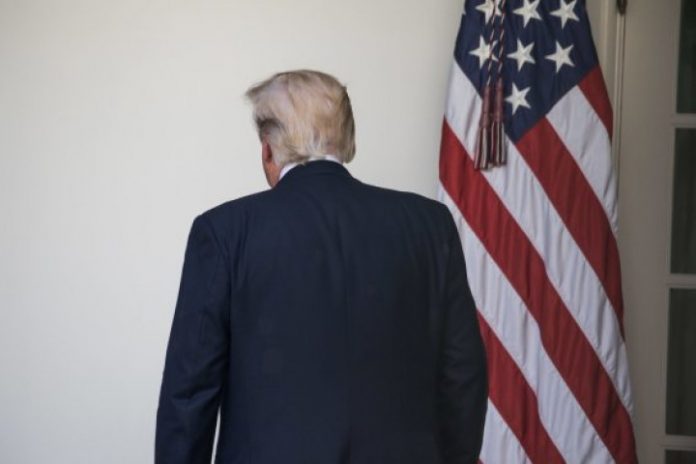 Trump Trump'ın yeniden başkan olması iklim politikalarını nasıl etkileyecek?