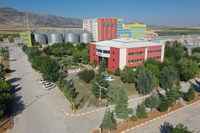 golda-3