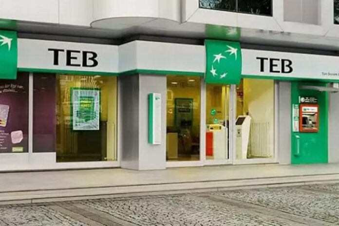 TEB-6