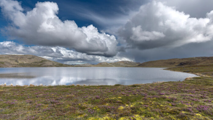 Tundra-lake Grönland - Tundra Gölü