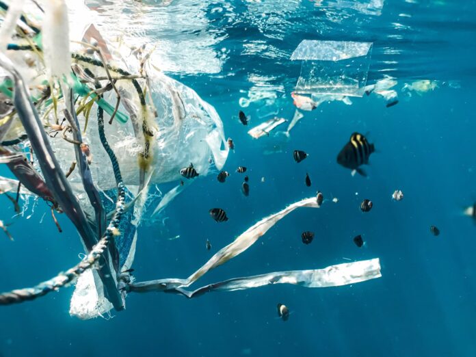 Plastik Atıklar Plastik Atıklar