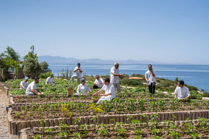 1741589563_ORGANIKBAHCE_1_edited Six Senses Sürdürülebilirlik Organik Bahçe