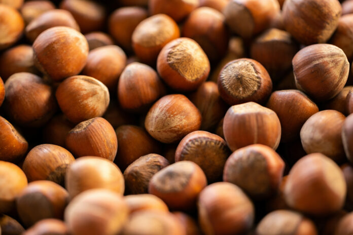 engin-akyurt-SCpXCeUvgdY-unsplash_edited Fındık Foto: Engin Akyurt - Unsplash