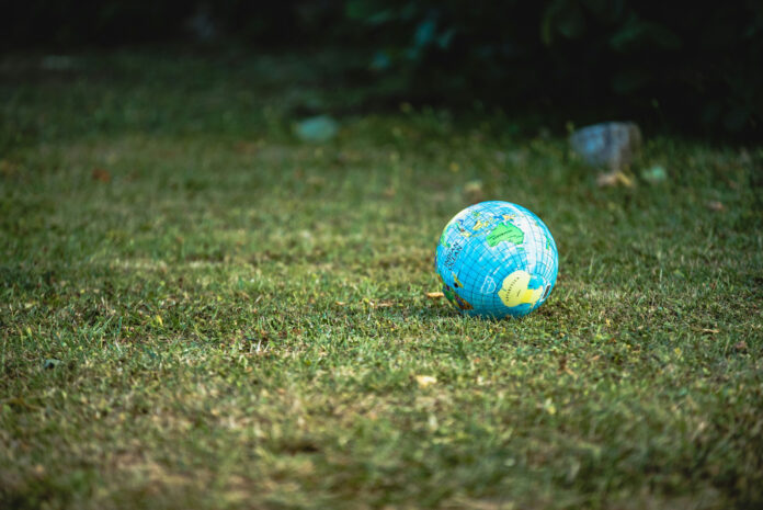 unsplash Doğa koruma fonlarında aslan payını kim alıyor? Photo: Unsplash