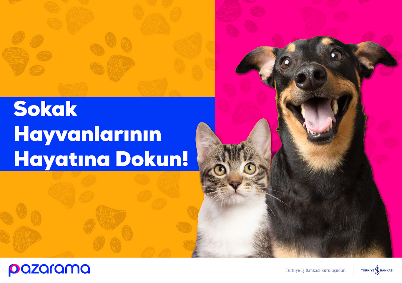 Pazarama’dan Sokak Hayvanlarına Destek