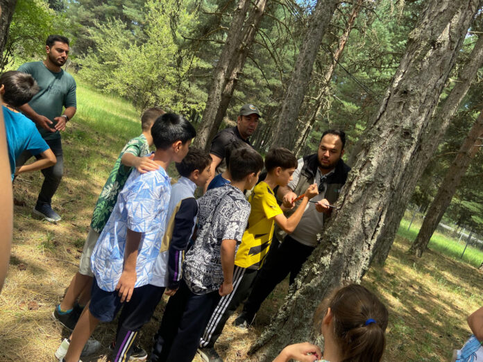 OGM Orman Okulları
