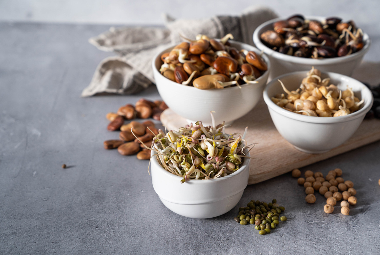 Filizlendirilmiş Bakliyatlar Besin Emilimini Hızlandırıyor