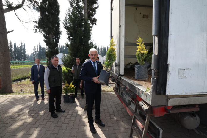 Ormanlaştırma - Azerbaycan Cumhuriyeti Ekoloji ve Doğal Kaynaklar Bakanlığı