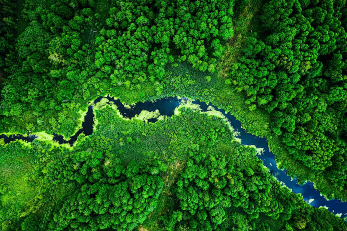 Amazing blooming algae on green river, aerial view Gelecek için Loreal