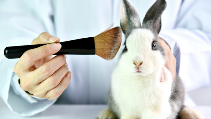 animaltesting Hayvan üzerindeki deneyler son buluyor! Stop Animal Testing