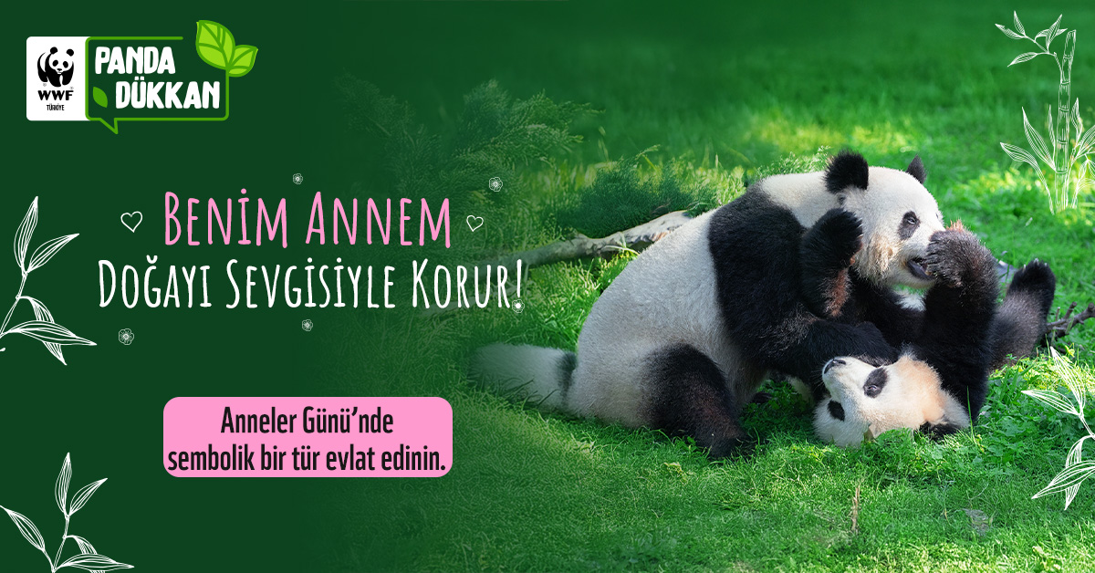 Bu Yıl Annenize Sembolik Bir Panda Hediye Edin!