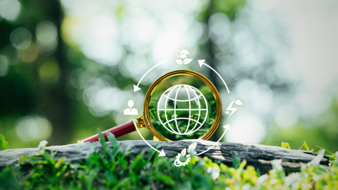 Sustainability-Strategy şirketler için sürdürülebilirlik biçimleri