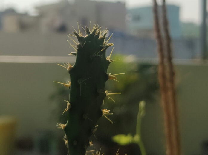 bhupathi-srinu-ILgOItF7SfU-unsplash_edited İklim krizi - nisan ayı global sıcaklık ortalaması