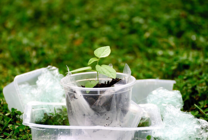 Bioplastikler