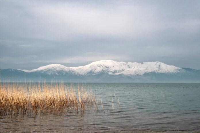 1755594350_beysehir_golu_mahmut_koyas_edited Doğa Derneği-Konya Havzası