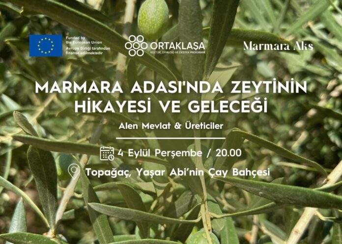3 Ada Kültür Sanat Günleri 2025