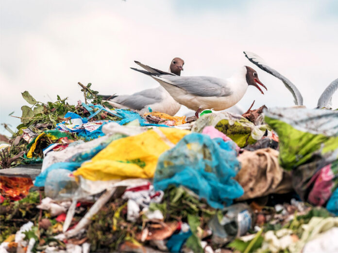 Plastikler_SaglikveTek_Gezegen_II_edited WWF Küresel Plastik Anlaşması