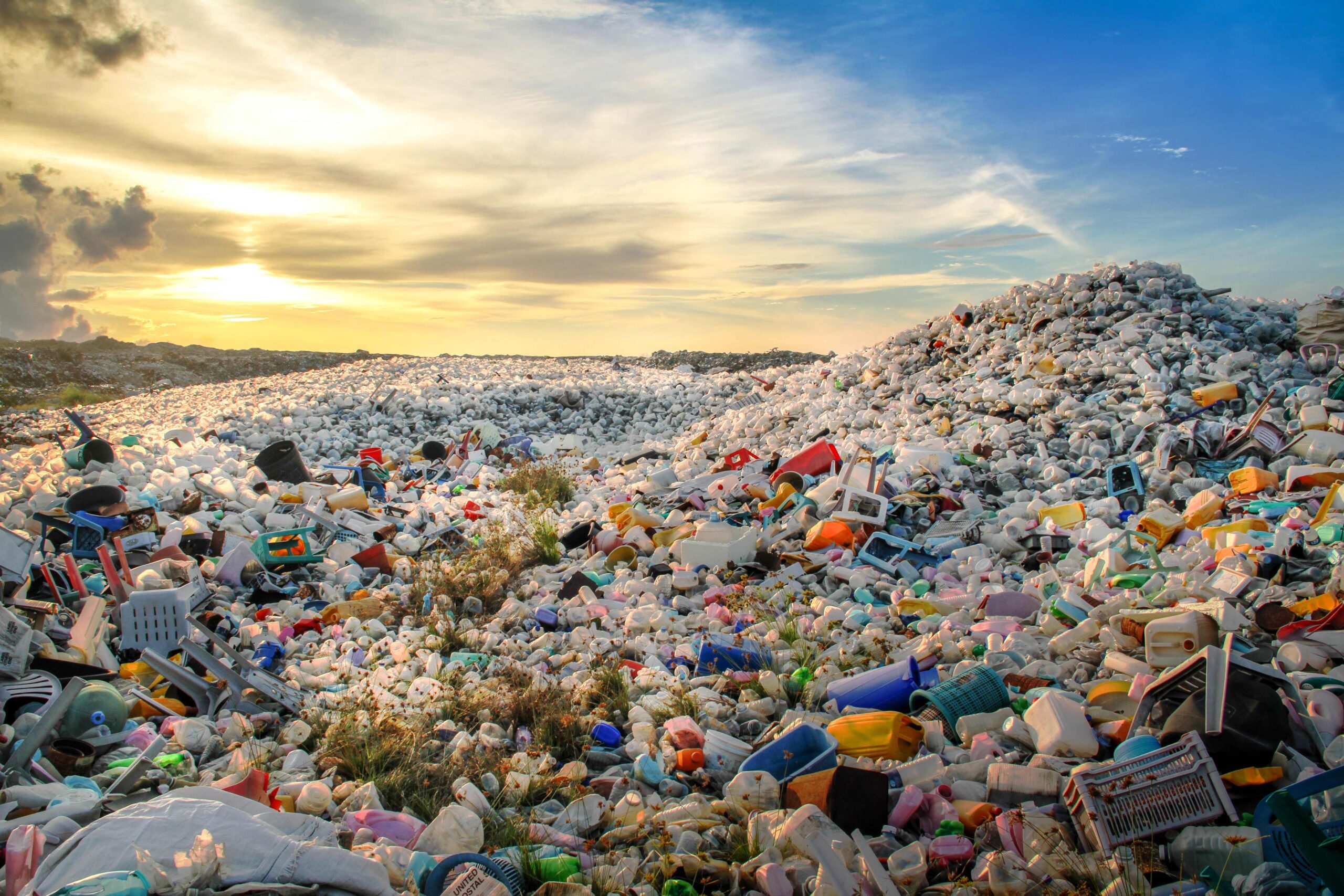 Plastik Atıklar Yemeğe Dönüşür mü?