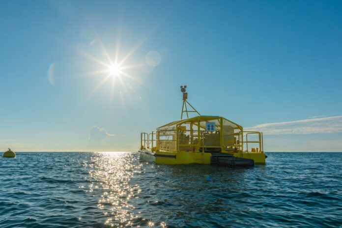 Oneka-Technologies-desalination-buoys Oneka-Dalga Gücü Enerjisi