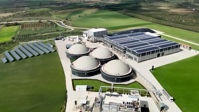 ecofer_tesis Ecogreen Enerji