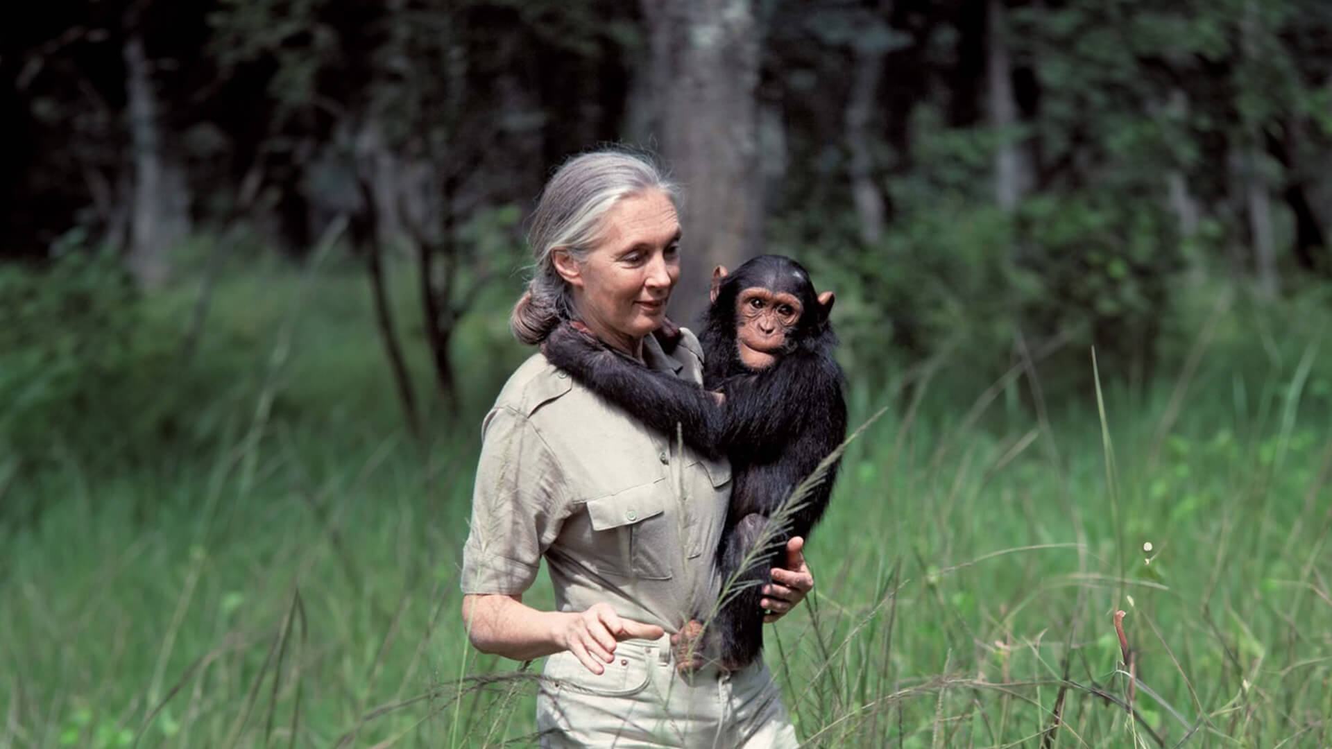 Jane Goodall’a Veda