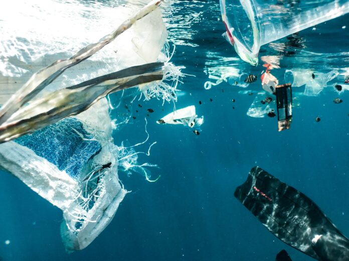 naja-bertolt-jensen-FxnqdmKBJps-unsplash okyanusta plastik kirliliği