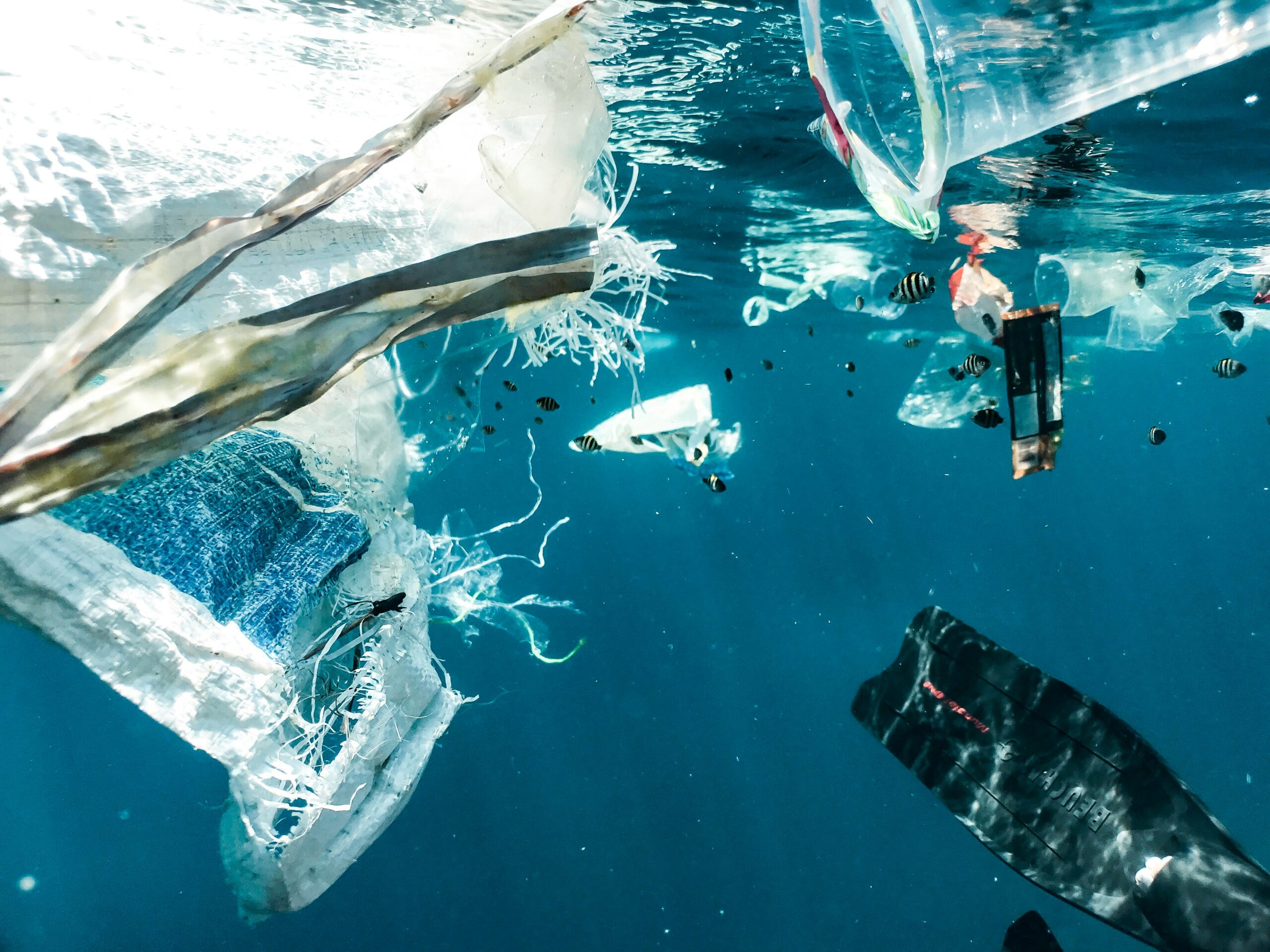 Dikkat! Plastikler Gitmiyor, Sadece Küçülüyor