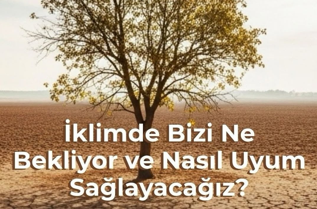 Seminer: İklim Krizinde Bizi Ne Bekliyor?