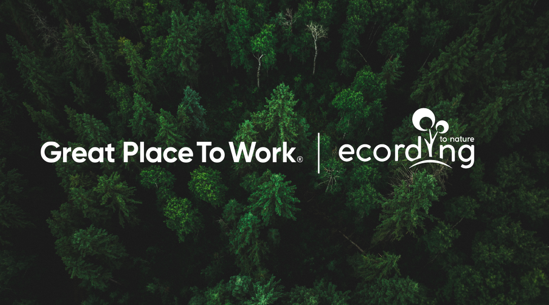 Great Place To Work® ve ecording’den 80 Bin Tohum Hamlesi