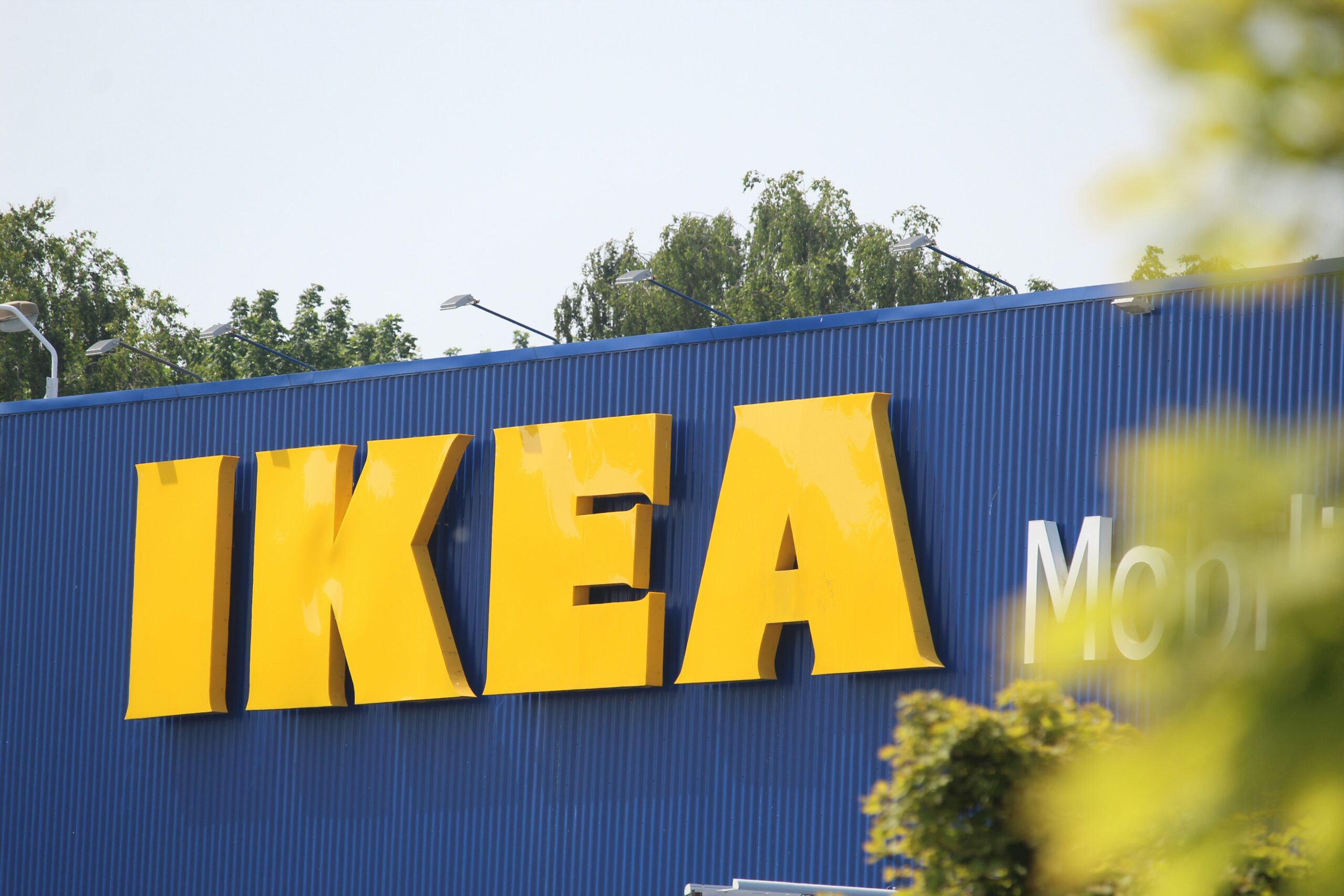 IKEA’dan Orman Restorasyonu Hamlesi