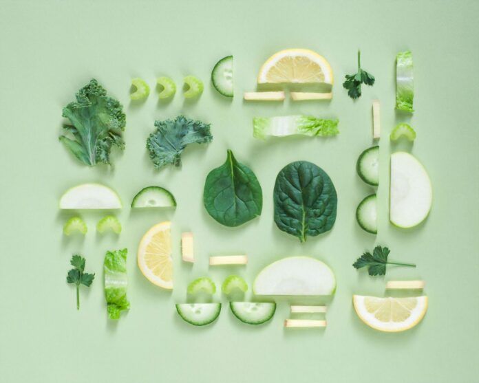 vegan beslenme