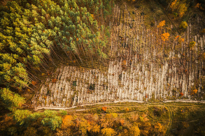 Deforestation EUDR-AB Ormansızlaştırma