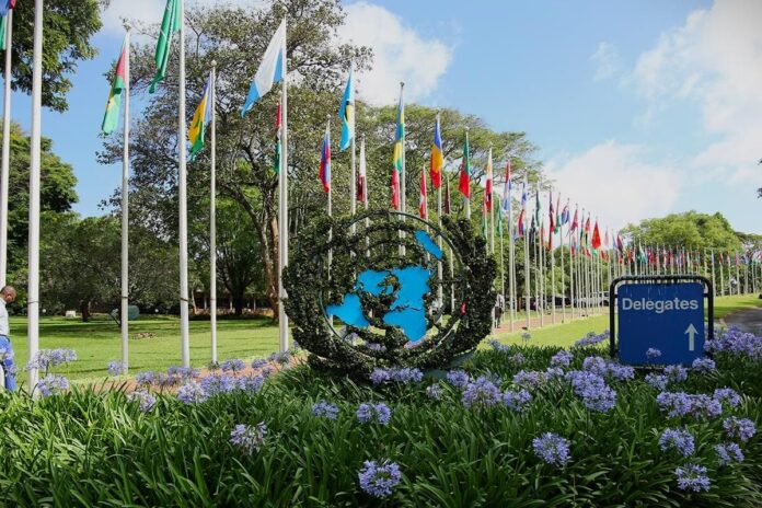 Nairobi-UN Nairobi, BM Çevre Meclisi
