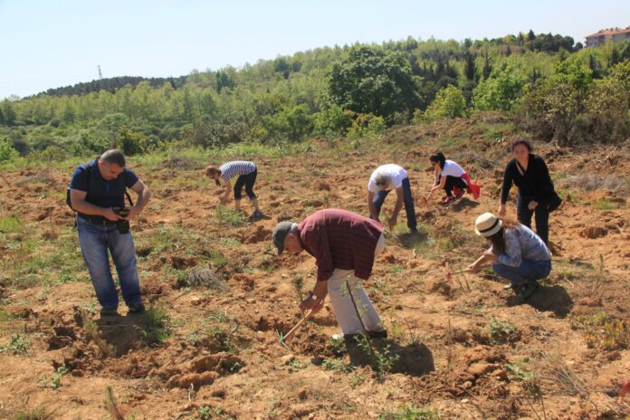 CEKUL_fidan_dikimi03_151657860 Fidan Dikimi-Çekül