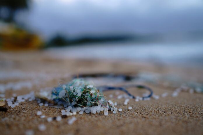 soren-funk-jQuky0VINAI-unsplash Mikroplastik Kirliliği