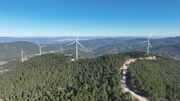 1770016313_1000_MW_1 Enerjisa Üretim