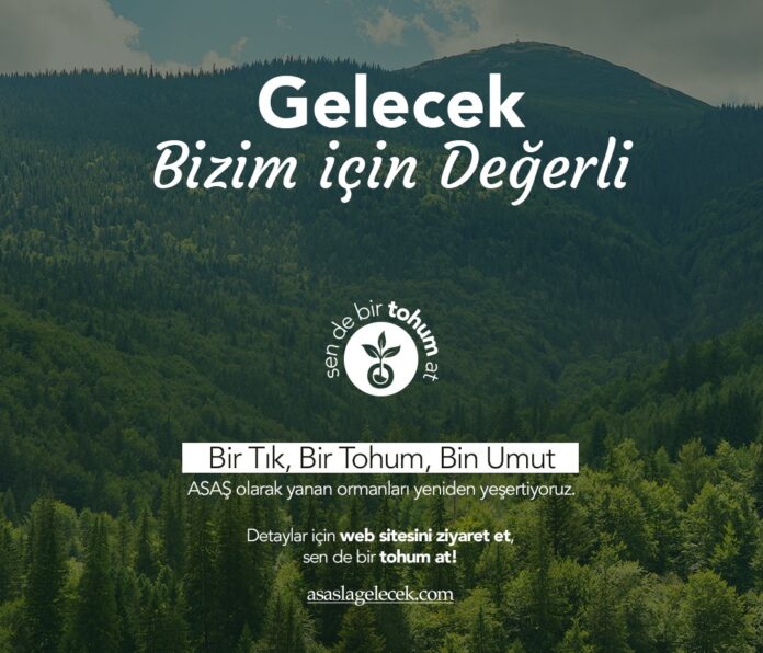 Asaş-Bir Tohum At