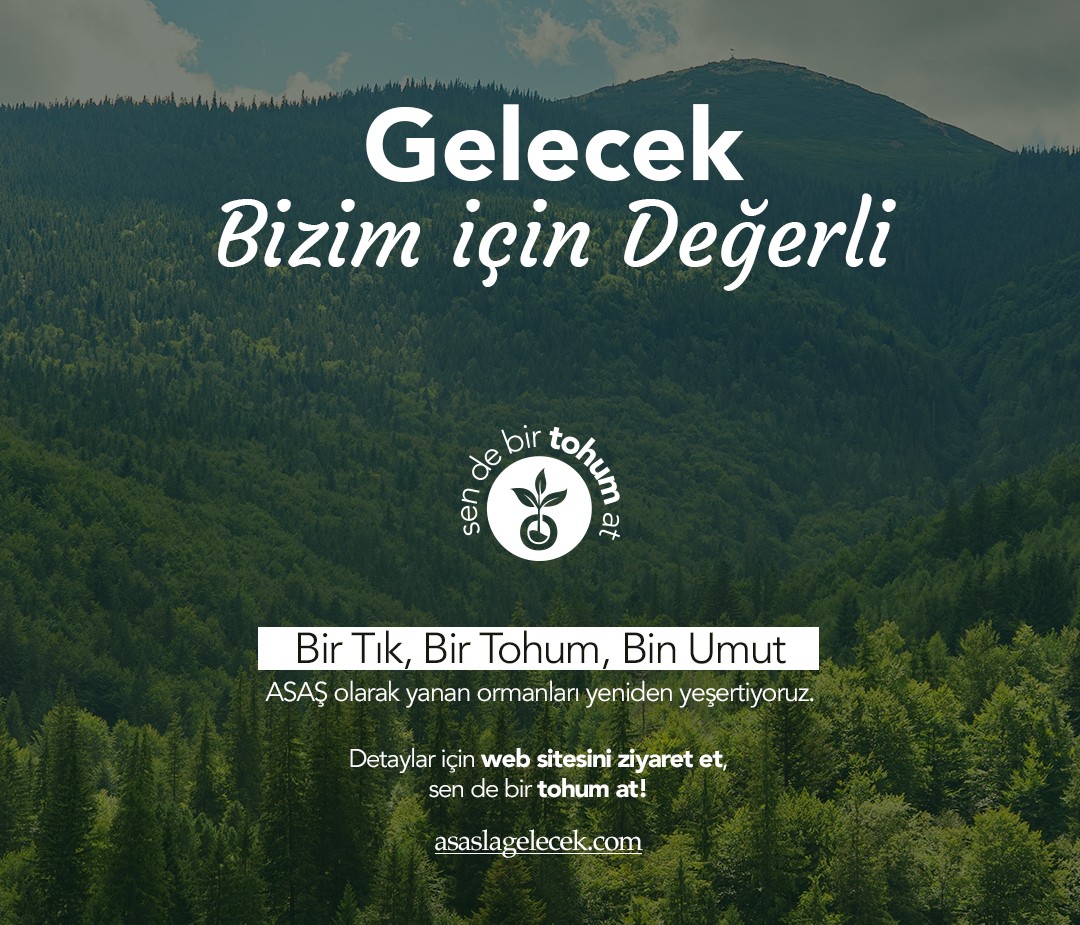 Bir Tohumun Peşinde: ASAŞ Marmaris’te Yeşermeyi Sürdürüyor